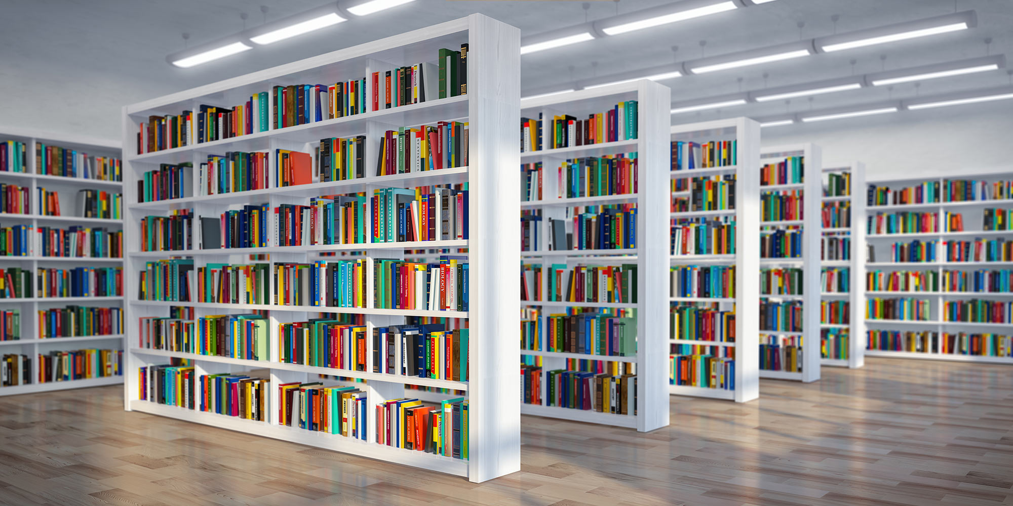 digital library